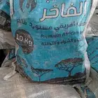 حطب قرض افريقي