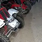 مطلوب بانشي بدون اوراق