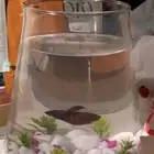 حوض سمك فايتر