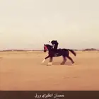 حصان انقليزي