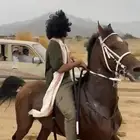 حصان شعبي العمر 3 الطول 7