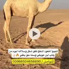 ولد غرنوق بن عويفي