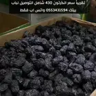 عجوة المدينه
