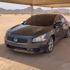 مكسيما 2010 فل الفل