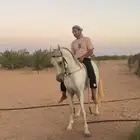 خيل