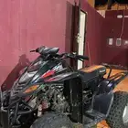 دباب