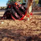 أستأجر خيول وجمال هجن
