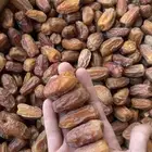 صفري بيشه
