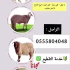 ذبايح الدمام