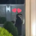 فستان للبيع