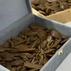 عود