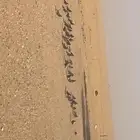 للبيع حمام