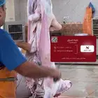 يوجد ذبايح لكل المناسبات ( نقوة السوق )