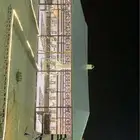 بيت شعر ملكي