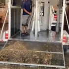 نقل خيل عربه خيول