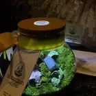 اسوي هدايا تيراريوم  أرقى من الورد ويعيش أطول