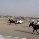 حصان سبوق باقي المقاطع على الرقم