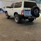 فتك حكومي ديزل