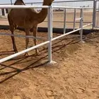 المفروده الحمراء الكفوو