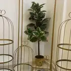 استنادات ذهبيه