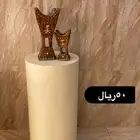 استقبال يوم تاسيس يبدا من 50ريال الى 450