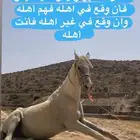 خيل