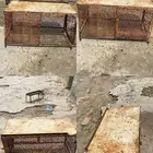 شبك صندوق