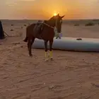 للبيع فراس