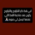 ابي قط ذكر للتزاوج عندي انثى طالبه تزاوج