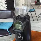 جازان وايضا بيش