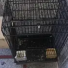 قفص كبير