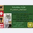 عروض اليوم الوطني فندقه لوكسا لقطط القصيم
