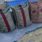 بذور يسر