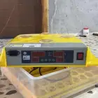 فقاصه للبيع