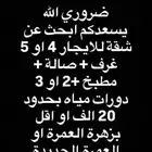 شقة