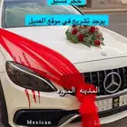 تشريع سيارات العرسان