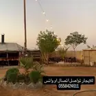 للايجار مخيمات