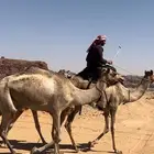 ركبي للبيع