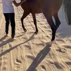 مهر
