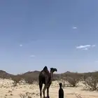 خلفات