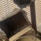 حمام قطيفيه توه صغير قلابي شرط صحه
