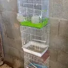 اقفص طيور زينه وقفص نقل خشب