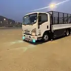 ديانا داخل تبوك وضواحيه تبوك