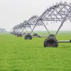 مطلوب مزرعه كهرب للايجار او للبيع في وادي الدواسر