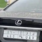 لوحة لملاك 460