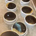 عسل سمره عشيره ذمه وامانه