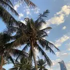 قروض عقاريه (وكاش)