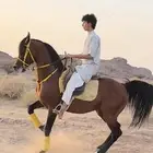 حصان واهو