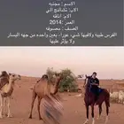 فرس انجليزيه