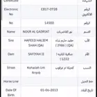 فرس ورق وبنتها